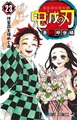 Demon Slayer Volume 23